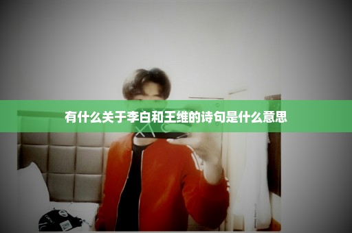 有什么关于李白和王维的诗句是什么意思