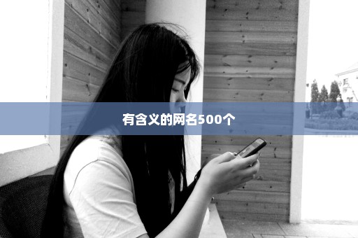 有含义的网名500个