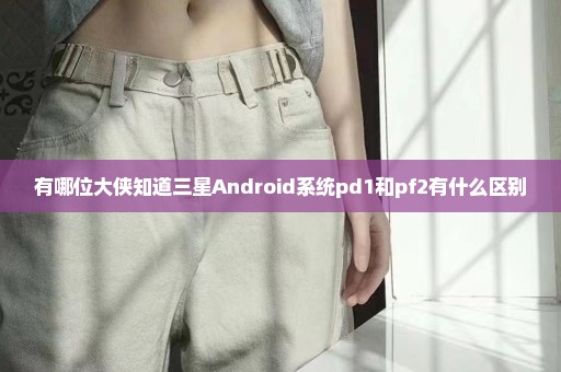 有哪位大侠知道三星Android系统pd1和pf2有什么区别