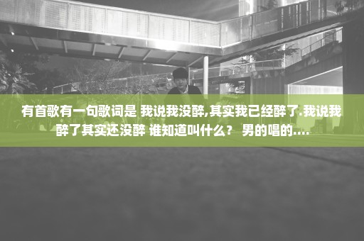 有首歌有一句歌词是 我说我没醉,其实我已经醉了.我说我醉了其实还没醉 谁知道叫什么？ 男的唱的....