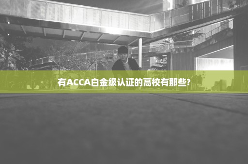 有ACCA白金级认证的高校有那些?