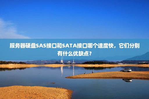 服务器硬盘SAS接口和SATA接口哪个速度快，它们分别有什么优缺点？