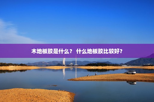 木地板胶是什么？ 什么地板胶比较好？