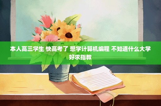 本人高三学生 快高考了 想学计算机编程 不知道什么大学好求指教