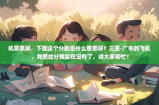 机票黑屏，下面这个分别是什么意思呀？三亚-广东的飞机，我想给分我实在没有了，请大家帮忙！