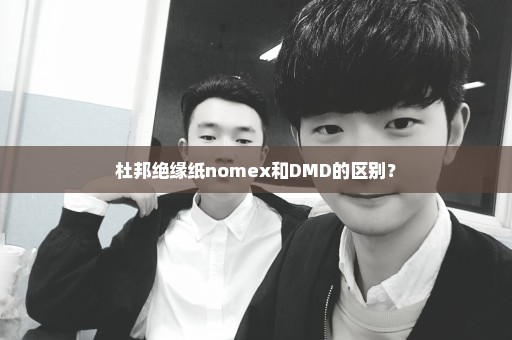 杜邦绝缘纸nomex和DMD的区别？