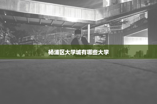 杨浦区大学城有哪些大学