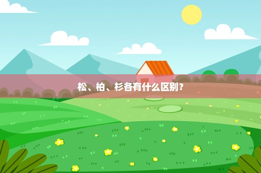 松、柏、杉各有什么区别？