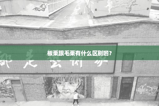 板栗跟毛栗有什么区别哟？