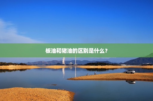 板油和猪油的区别是什么？