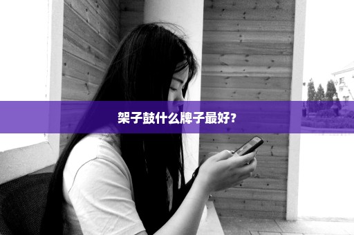 架子鼓什么牌子最好？