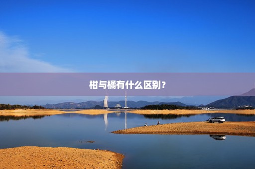 柑与橘有什么区别？