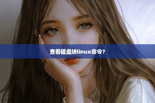 查看磁盘块linux命令？