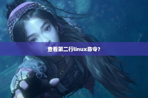 查看第二行linux命令？