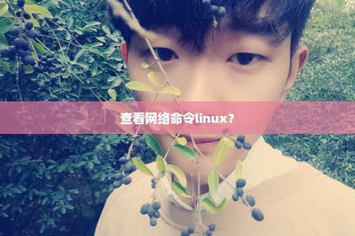 查看网络命令linux？