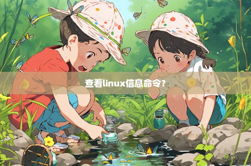 查看linux信息命令？