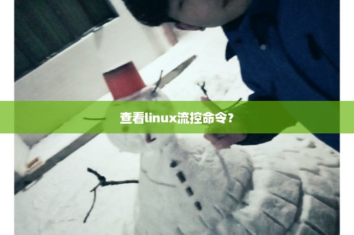 查看linux流控命令？