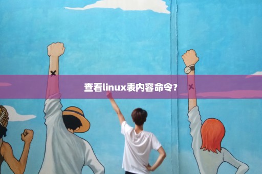 查看linux表内容命令？