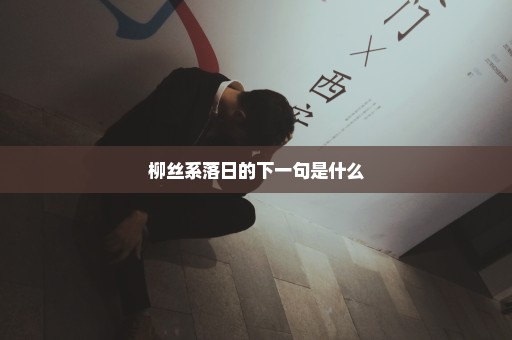 柳丝系落日的下一句是什么