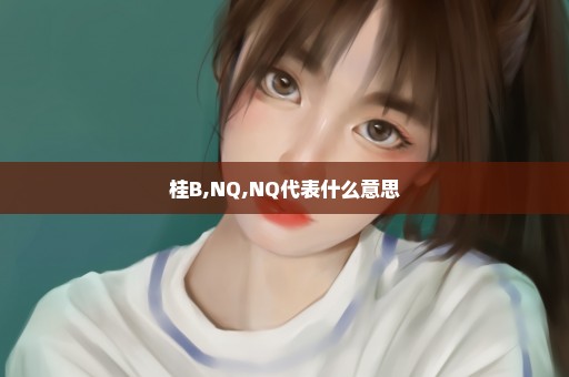 桂B,NQ,NQ代表什么意思