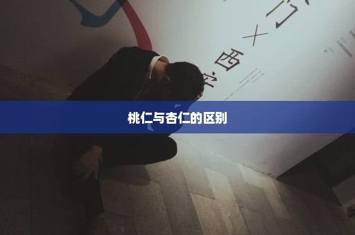 桃仁与杏仁的区别