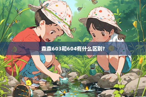 森森603和604有什么区别?