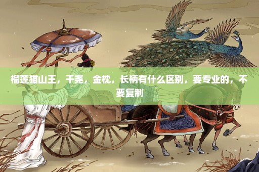 榴莲猫山王，干尧，金枕，长柄有什么区别，要专业的，不要复制