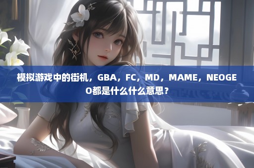 模拟游戏中的街机，GBA，FC，MD，MAME，NEOGEO都是什么什么意思？