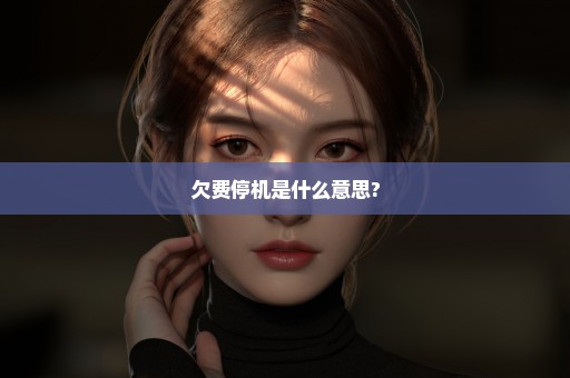 欠费停机是什么意思?