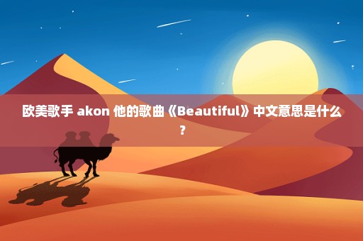 欧美歌手 akon 他的歌曲《Beautiful》中文意思是什么？