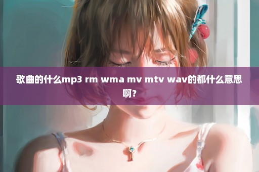 歌曲的什么mp3 rm wma mv mtv wav的都什么意思啊？