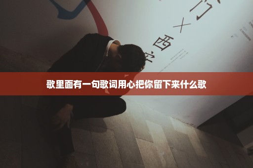 歌里面有一句歌词用心把你留下来什么歌