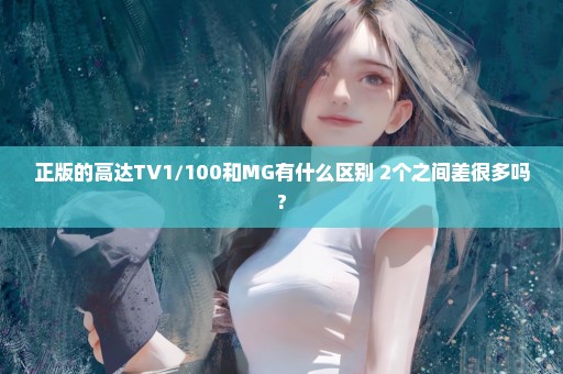 正版的高达TV1/100和MG有什么区别 2个之间差很多吗?