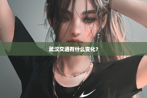 武汉交通有什么变化？