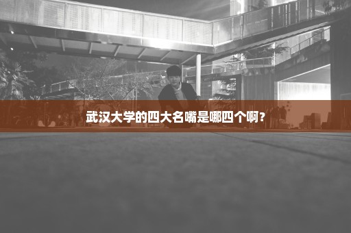 武汉大学的四大名嘴是哪四个啊？