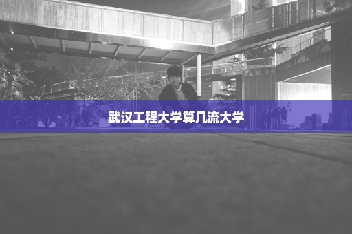 武汉工程大学算几流大学