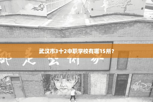 武汉市3十2中职学校有哪15所？