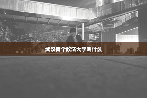 武汉有个政法大学叫什么