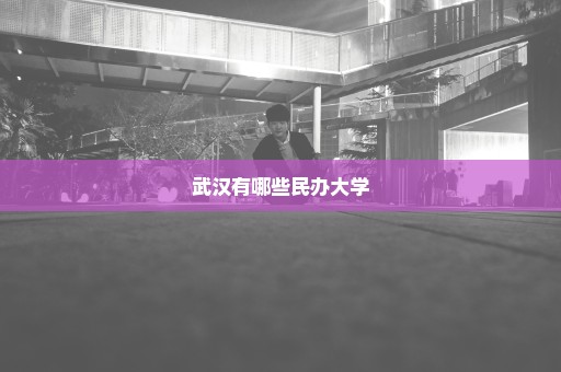 武汉有哪些民办大学