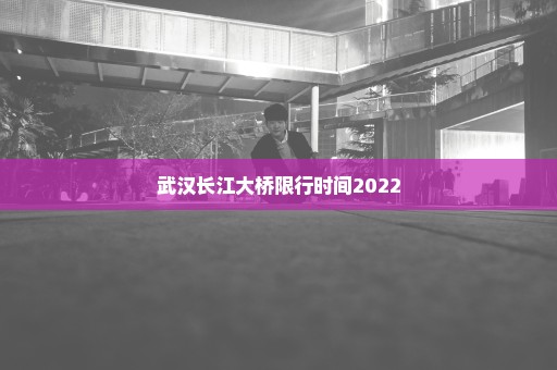 武汉长江大桥限行时间2022