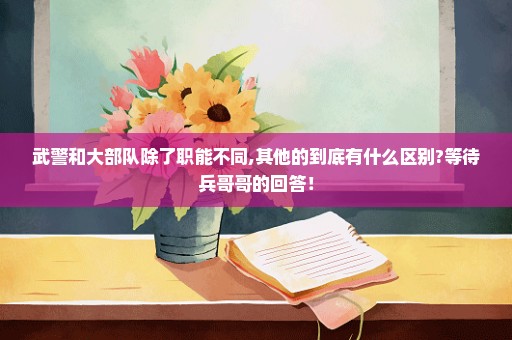 武警和大部队除了职能不同,其他的到底有什么区别?等待兵哥哥的回答！