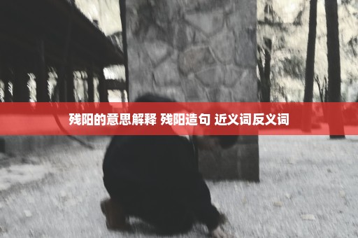 残阳的意思解释 残阳造句 近义词反义词