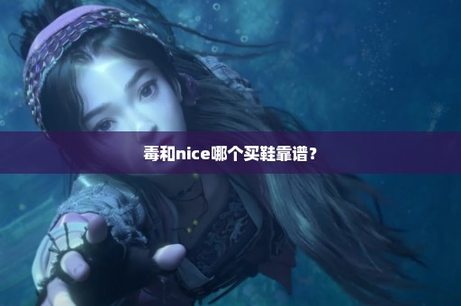 毒和nice哪个买鞋靠谱？