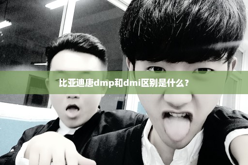 比亚迪唐dmp和dmi区别是什么？