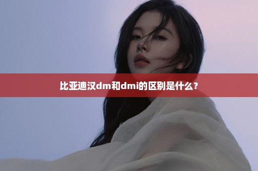 比亚迪汉dm和dmi的区别是什么？