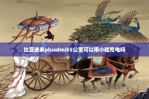 比亚迪秦plusdmi55公里可以用小桔充电吗