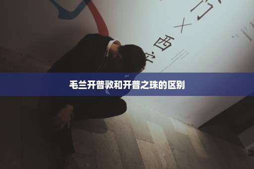 毛兰开普敦和开普之珠的区别