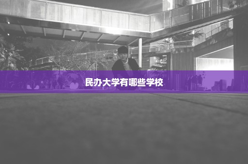 民办大学有哪些学校