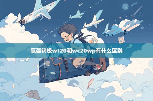 氩弧钨极wt20和wc20wp有什么区别