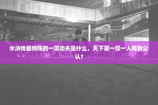 水浒传最特殊的一项功夫是什么，天下第一仅一人得到公认？